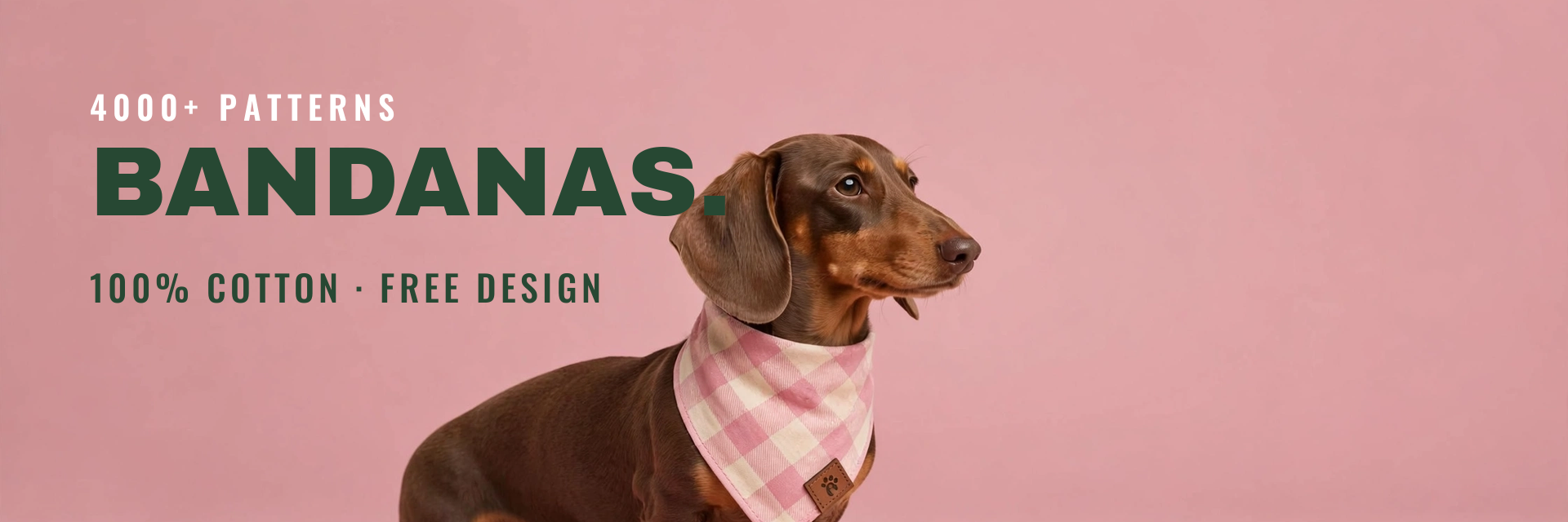 LORO PET wholesale collection banner