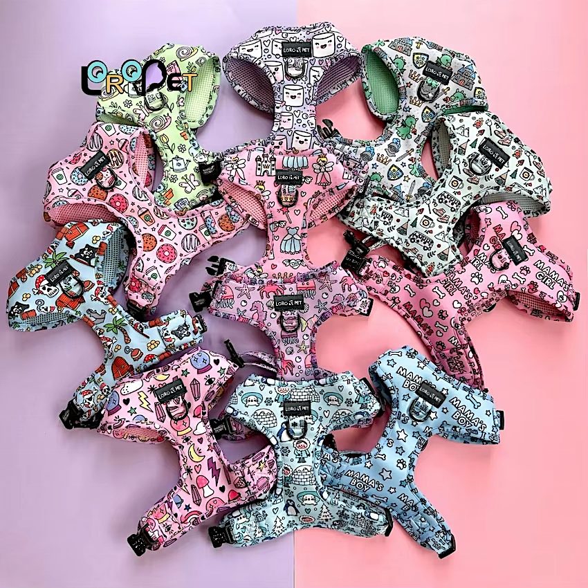 Luxury Custom Dog Harness & Leash Set Reversible Reflective with Bow Tie